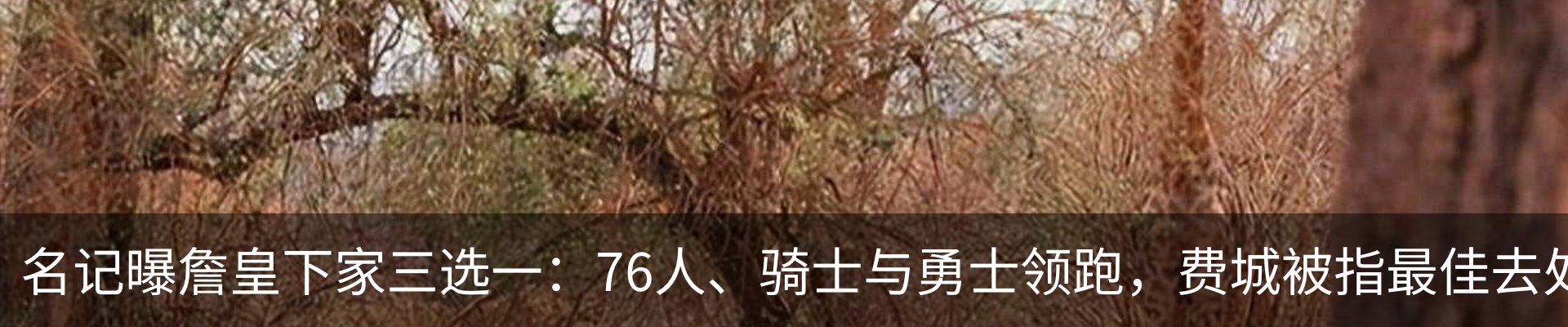 资讯动态